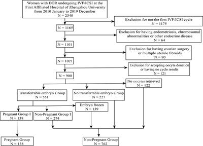 Which Factors Are Associated With Reproductive Outcomes of DOR Patients in ART Cycles: An Eight-Year Retrospective Study